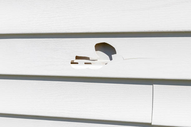 Best Custom Siding Design  in Masontown, PA